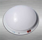 ����Ӧ����