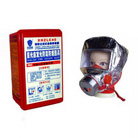 ����ʽ�ԾȺ�����